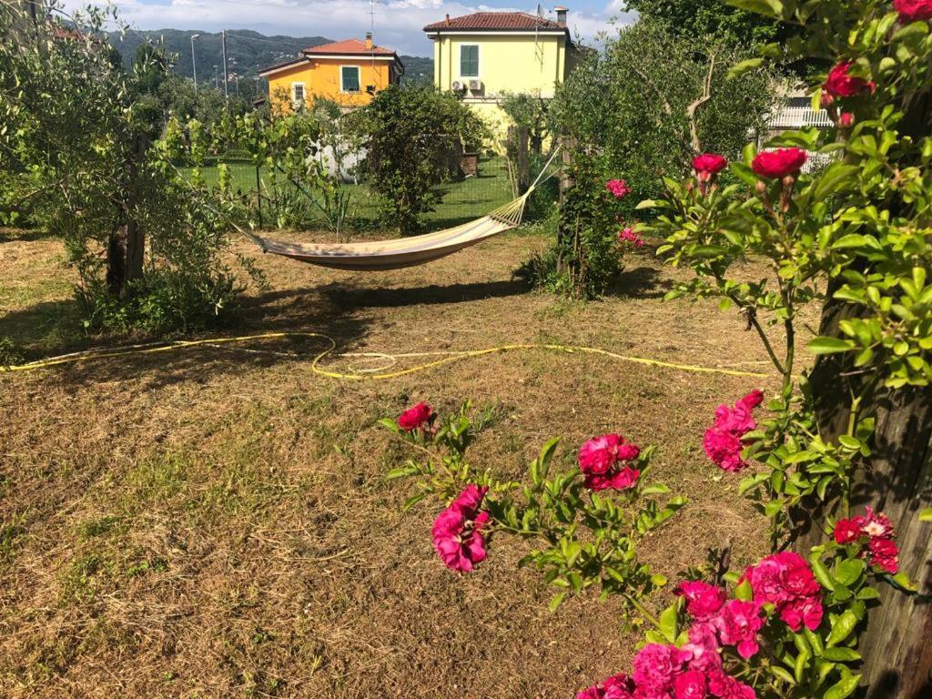 Piano di Follo La Casa Di Uliviヴィラ エクステリア 写真