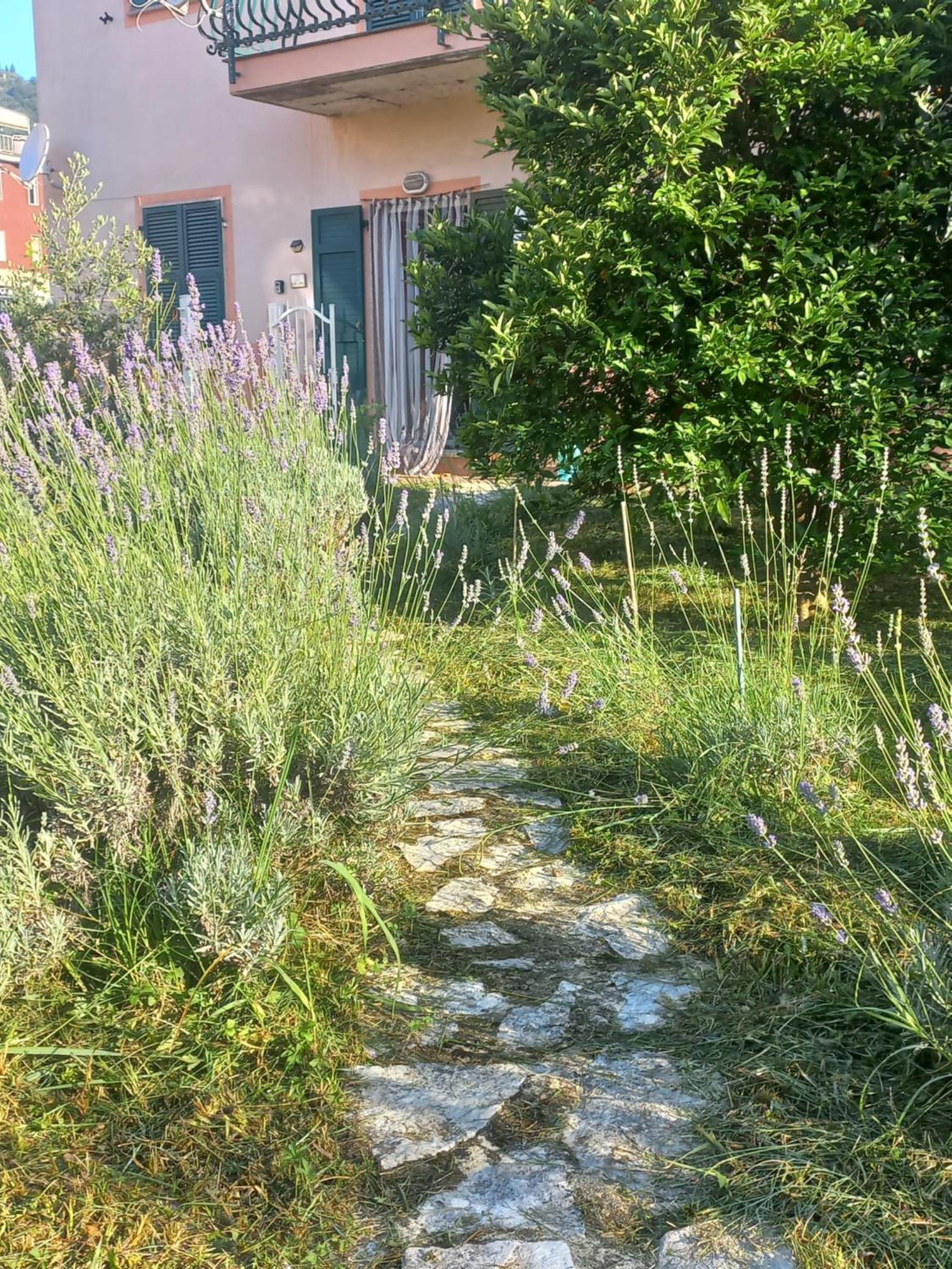 Piano di Follo La Casa Di Uliviヴィラ エクステリア 写真